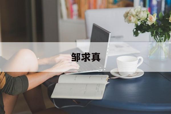邹求真=邹求真 高通