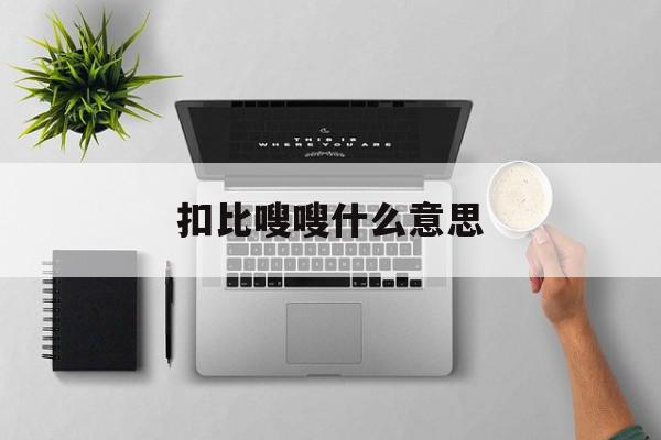 扣比嗖嗖什么意思=扣是什么意思网络词语