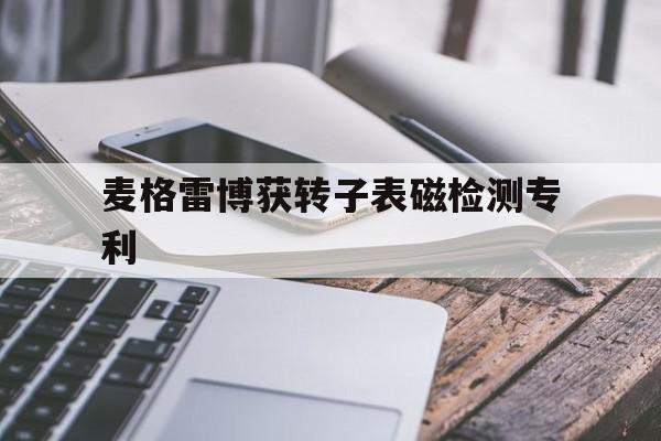 麦格雷博获转子表磁检测专利=上海磁稳机械设备科技有限公司