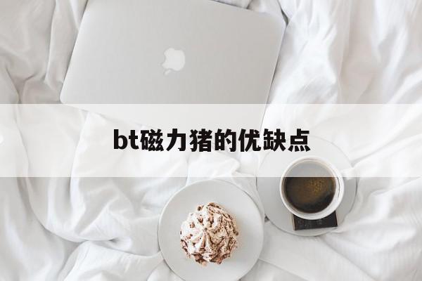 bt磁力猪的优缺点=磁力猪cilizhu