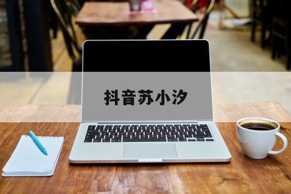 抖音苏小汐=苏小汐是什么小说