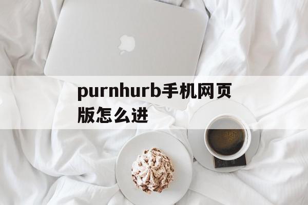 purnhurb手机网页版怎么进=purnhurb网站用什么浏览器可以打开